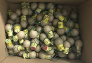 Công an huyện Thủy Nguyên: Bắt giữ đối tượng buôn pháo nổ