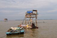 Huyện Tiên Lãng: Sẽ tiến hành cưỡng chế các hộ nuôi ngao không phép tại khu vực biển huyện Tiên Lãng vào sáng 13/12