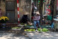 Chuyện thời cuộc: Cần lập trật tự “ngõ ngách”