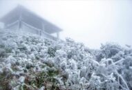 Tin không khí lạnh mạnh; chỉ đạo ứng phó rét đậm, rét hại, băng giá, sương muối