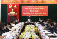 Tăng cường lãnh đạo, chỉ đạo thực hiện chỉ tiêu về thành lập tổ chức đảng, đoàn thể và phát triển đảng viên, đoàn viên, hội viên theo Nghị quyết số 28-NQ/TU