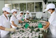 Tết về, nhớ thương hiệu hàng tiêu dùng Hải Phòng