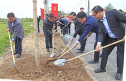 Chủ tịch UBND thành phố Nguyễn Văn Tùng dự Lễ phát động Tết trồng cây tại quận Kiến An