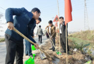 Hội Nông dân thành phố phát động Tết trồng cây trong hệ thống Hội tại xã Hoàng Động, huyện Thủy Nguyên