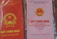 Có thể bị phạt tù đến 3 năm nếu sử dụng lì xì in hình Quốc huy