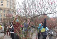 Dự báo thời tiết 10 ngày tới từ 7.1 đến 17.1 ở cả ba miền