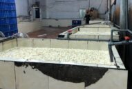 Cơ sở chế biến chân gà “chui”, gây ô nhiễm môi trường