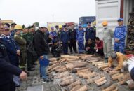 Bộ Tư lệnh Vùng Cảnh sát biển 1 phối hợp bắt giữ gần nửa tấn ngà voi nhập lậu