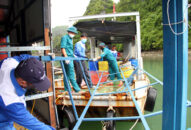 Hoàn thành tháo dỡ các cơ sở nuôi trồng thủy sản trên các Vịnh thuộc quần đảo Cát Bà, trước ngày 01/7/2023