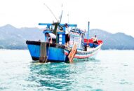 Đấu tranh, ngăn chặn tình trạng sử dụng xung điện, chất độc, chất nổ, nghề và ngư cụ cấm trong khai thác thủy sản