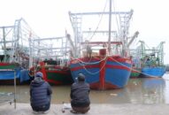 Hải Phòng: Hàng trăm tàu cá nằm bờ do thiếu thuyền viên