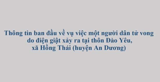 Thông tin ban đầu về vụ việc một người dân tử vong do điện giật xảy ra tại thôn Đào Yêu, xã Hồng Thái (huyện An Dương)