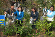 Hội Liên hiệp Phụ nữ thành phố phát động trồng cây với Chủ đề “Phụ nữ vun trồng tương lai”