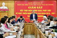 Đoàn đại biểu Quốc hội Hải Phòng giám sát tại Sở Công Thương về việc thực hiện chính sách pháp luật về phát triển năng lượng giai đoạn 2016-2021