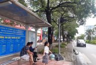 Xe buýt kết hợp phà từ nội thành đi Cát Bà: Thuận lợi và giá rẻ