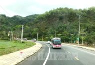 Đưa xe buýt ra đảo Cát Bà, chuẩn bị mở tuyến mới