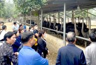 Bẫy lừa từ những “tour du lịch 0 đồng”