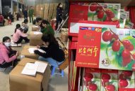 Hải Phòng: Dùng táo đỏ Trung Quốc đóng gói giả sản phẩm nguồn gốc Hàn Quốc
