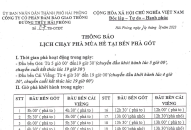 Thông báo Lịch chạy phà mùa hè tại bến phà Gót từ 25/4/2023