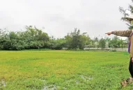 Huyện An Dương: Khắc phục được 109,62ha/756,93ha ruộng bỏ hoang