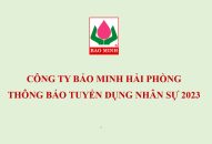 Công ty Bảo Minh Hải Phòng thông báo tuyển dụng nhân sự năm 2023