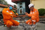 Công ty TNHH MTV Điện lực Hải Phòng: Bảo đảm cấp điện an toàn, ổn định phục vụ Lễ hội Hoa phượng đỏ-Hải Phòng 2023