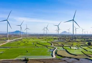 52/85 nhà máy điện mặt trời, điện gió chuyển tiếp đã nộp hồ sơ đến EVN