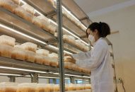 Cô kỹ sư trẻ tài năng đam mê nghiên cứu khoa học