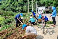 Tập huấn xử lý rác thải hữu cơ vì sự phát triển bền vững của huyện đảo Cát Hải