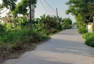 Điều tra vụ nữ giáo viên Hải Phòng bị hành hung, cướp xe giữa ban ngày