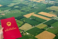 Các mức phạt khi mua bán đất không có sổ đỏ