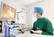 Siêu âm nội soi: Bước tiến mới trong tầm soát và hỗ trợ điều trị bệnh lý tiêu hóa