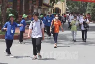 Từ ngày 14/6 đến 17 giờ ngày 16/6: Thu nhận đơn và nhập dữ liệu phúc khảo Kỳ thi tuyển sinh vào lớp 10 lên hệ thống phần mềm Sở GDĐT