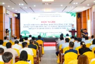 Hướng dẫn thu gom, vận chuyển, xử lý chất thải rắn sinh hoạt và giảm thiểu ô nhiễm nhựa