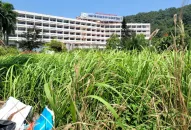 Nghiên cứu lập hai dự án chỉnh trang khu du lịch Đồ Sơn