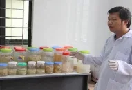 Sản xuất thử nghiệm collagen từ sứa Rhopilema hispidum (Vanhoffen, 1888) tại Hải Phòng