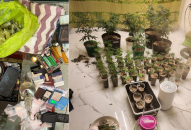 Công an quận Ngô Quyền: Phá thành công 2 chuyên án, 2 ổ nhóm ma túy