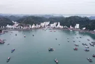 Hải Phòng cấm biển, dừng du lịch trên đảo Cát Bà từ 12h ngày 17.7