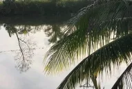 Phát hiện thi thể người đàn ông dưới kênh ở Hải Phòng