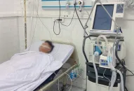 Người đàn ông ở Hải Phòng nguy kịch sau 1 giờ ăn trứng so biển