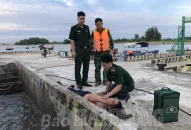 Lực lượng chức năng huyện Cát Hải cứu sống 1 người nhảy cầu Tân Vũ-Lạch Huyện