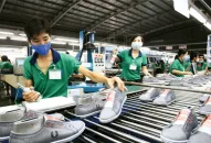 Tọa đàm xây dựng hệ sinh thái phát triển ngành Da Giầy tại thành phố Hải Phòng, dự kiến sẽ diễn ra vào ngày 10/8/2023