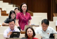 Nghiên cứu chế tài xử lý người môi giới bất động sản không có chứng chỉ hành nghề