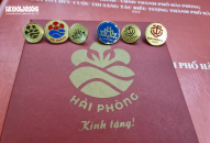 Vì sao tác phẩm từng đoạt giải vẫn không được công nhận làm biểu tượng Hải Phòng?