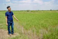 Nỗ lực “xanh hóa” đất đai của Hợp tác xã sinh thái 3 thôn ở xã Tú Sơn