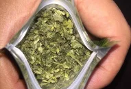 Bắt nam thanh niên giắt theo súng đi bán “cỏ Mỹ” ở Hải Phòng