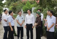 Kiểm tra việc thực hiện Nghị quyết của HĐND thành phố về xây dựng xã nông thôn mới kiểu mẫu tại huyện Tiên Lãng