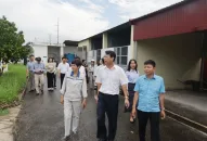 Giám sát việc thực hiện các quy định của pháp luật về bảo vệ môi trường tại Khu công nghiệp Nhật Bản-Hải Phòng