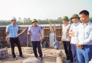 Xử lý dứt điểm các trường hợp vi phạm pháp luật về đê điều trên địa bàn thành phố trong tháng 10/2023