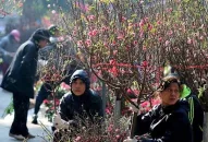 Đề xuất phương án nghỉ Tết Nguyên đán 2024